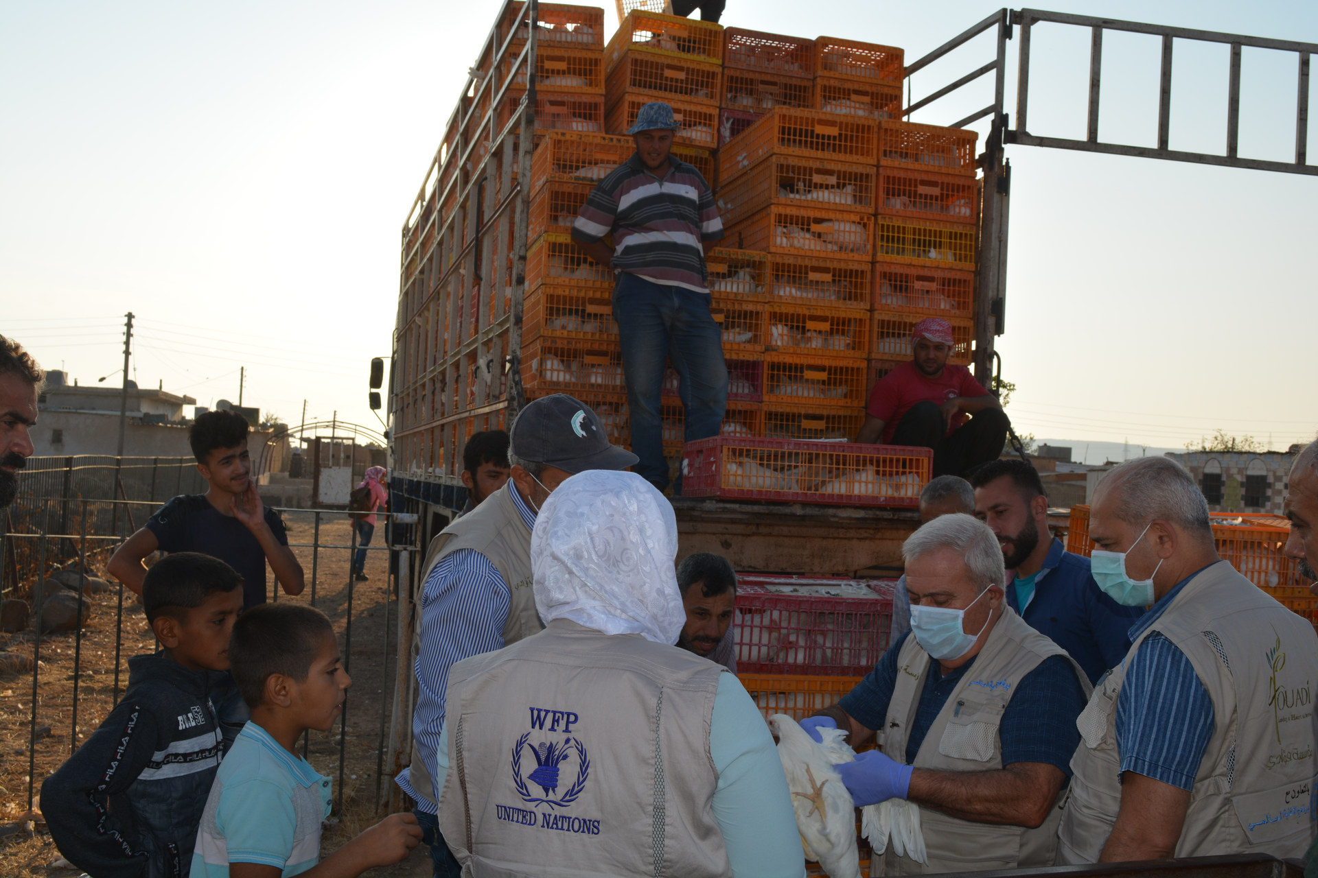 Social Protection & Emergency Cash Transfers